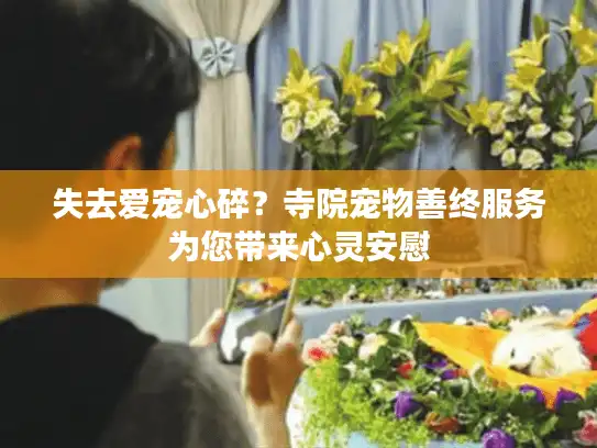 失去爱宠心碎？寺院宠物善终服务为您带来心灵安慰