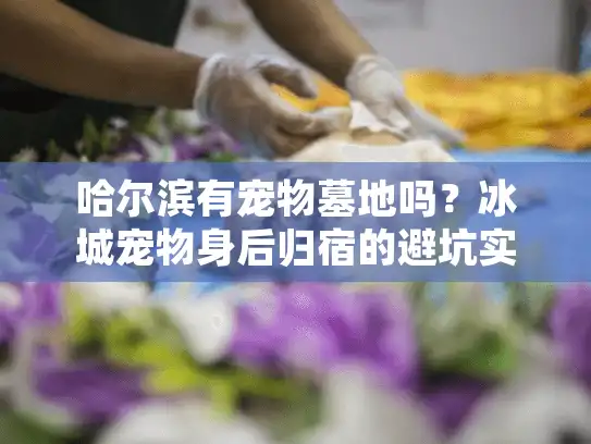 哈尔滨有宠物墓地吗?冰城宠物身后归宿的避坑实战选择 哈尔滨有宠物墓地吗?冰城宠物身后归宿的避坑实战选择