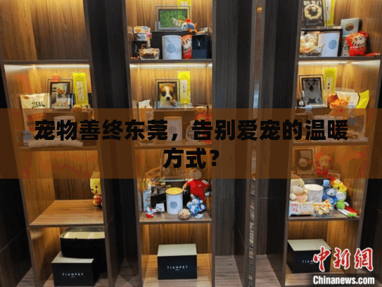 宠物善终东莞,告别爱宠的温暖方式? 宠物善终东莞,告别爱宠的温暖方式?