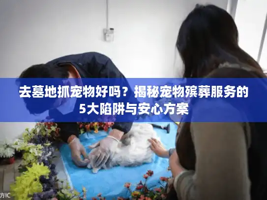 去墓地抓宠物好吗？揭秘宠物殡葬服务的5大陷阱与安心方案