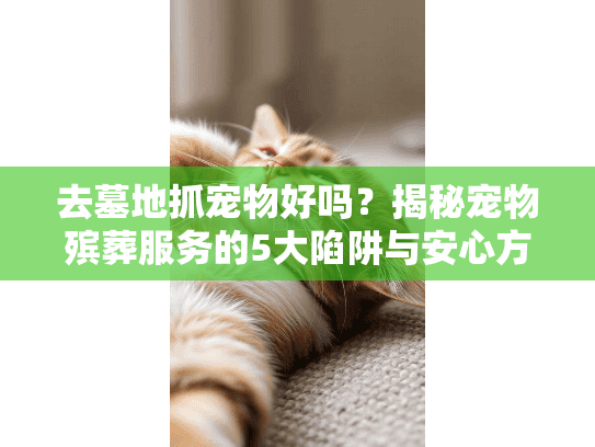 去墓地抓宠物好吗？揭秘宠物殡葬服务的5大陷阱与安心方案