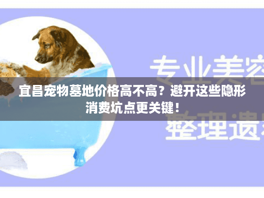 宜昌宠物墓地价格高不高？避开这些隐形消费坑点更关键！
