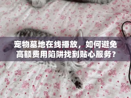 宠物墓地在线播放，如何避免高额费用陷阱找到贴心服务？