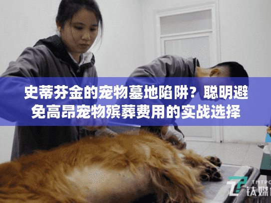 史蒂芬金的宠物墓地陷阱？聪明避免高昂宠物殡葬费用的实战选择
