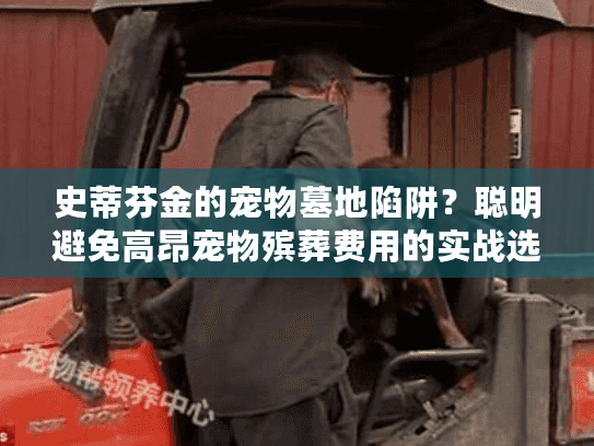 史蒂芬金的宠物墓地陷阱？聪明避免高昂宠物殡葬费用的实战选择