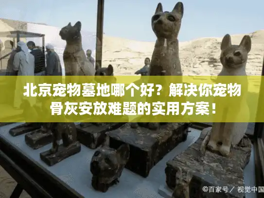 北京宠物墓地哪个好？解决你宠物骨灰安放难题的实用方案！