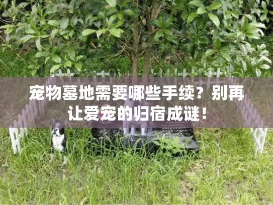 宠物墓地需要哪些手续？别再让爱宠的归宿成谜！
