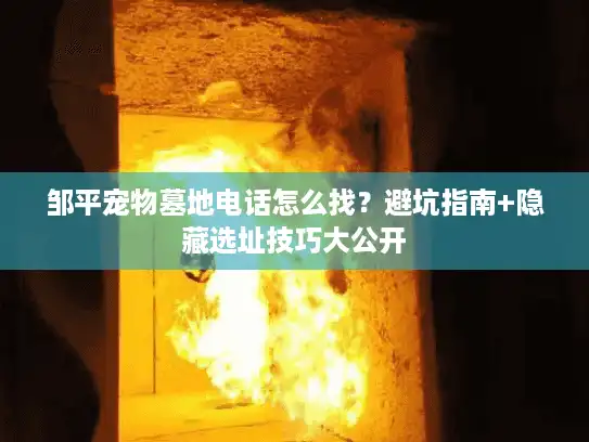 邹平宠物墓地电话怎么找?避坑指南+隐藏选址技巧大公开 邹平宠物墓地电话怎么找?避坑指南+隐藏选址技巧大公开