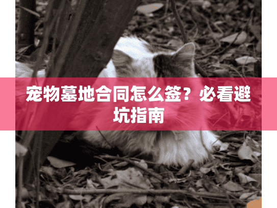 宠物墓地合同怎么签？必看避坑指南