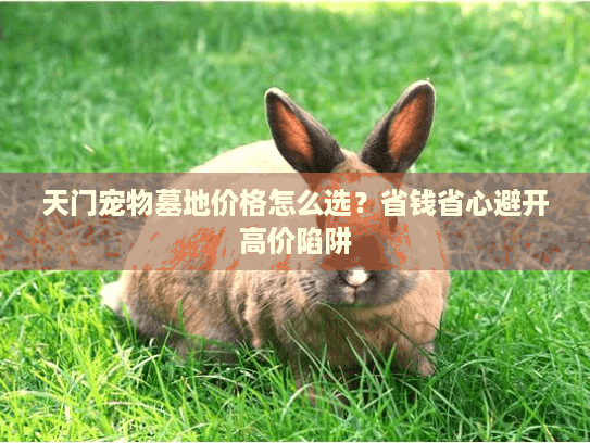 天门宠物墓地价格怎么选？省钱省心避开高价陷阱