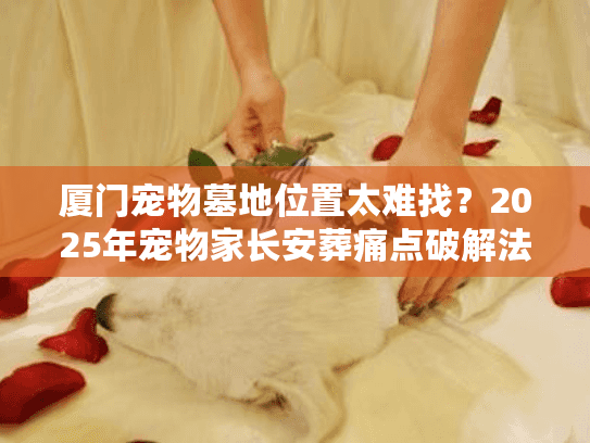 厦门宠物墓地位置太难找？2025年宠物家长安葬痛点破解法