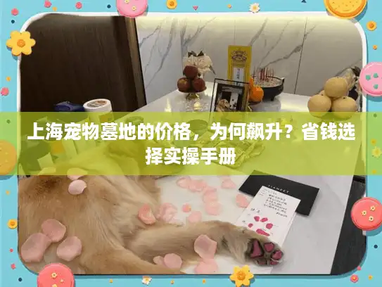 上海宠物墓地的价格,为何飙升?省钱选择实操手册 上海宠物墓地的价格,为何飙升?省钱选择实操手册