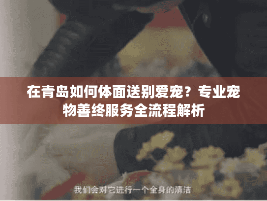 在青岛如何体面送别爱宠？专业宠物善终服务全流程解析