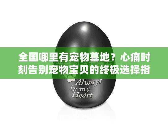 全国哪里有宠物墓地？心痛时刻告别宠物宝贝的终极选择指南