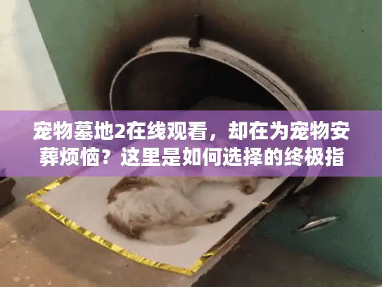 宠物墓地2在线观看,却在为宠物安葬烦恼?这里是如何选择的终极指南! 宠物墓地2在线观看,却在为宠物安葬烦恼?这里是如何选择的终极指南!