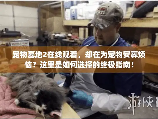 宠物墓地2在线观看,却在为宠物安葬烦恼?这里是如何选择的终极指南! 宠物墓地2在线观看,却在为宠物安葬烦恼?这里是如何选择的终极指南!