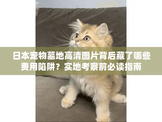 日本宠物墓地高清图片背后藏了哪些费用陷阱?实地考察前必读指南 日本宠物墓地高清图片背后藏了哪些费用陷阱?实地考察前必读指南