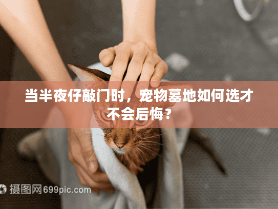 当半夜仔敲门时，宠物墓地如何选才不会后悔？