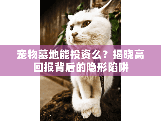 宠物墓地能投资么?揭晓高回报背后的隐形陷阱 宠物墓地能投资么?揭晓高回报背后的隐形陷阱