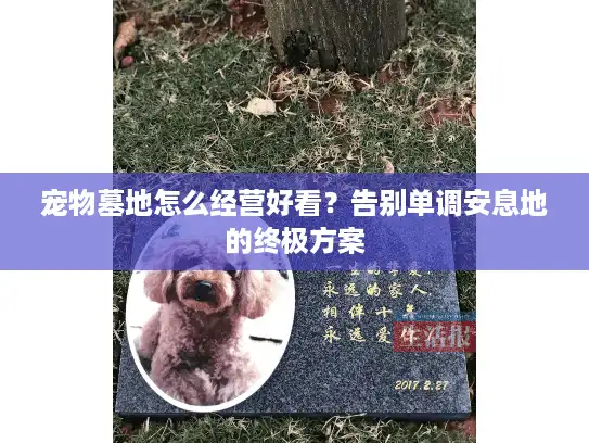 宠物墓地怎么经营好看?告别单调安息地的终极方案 宠物墓地怎么经营好看?告别单调安息地的终极方案