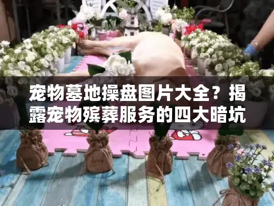 宠物墓地操盘图片大全？揭露宠物殡葬服务的四大暗坑