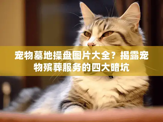 宠物墓地操盘图片大全？揭露宠物殡葬服务的四大暗坑