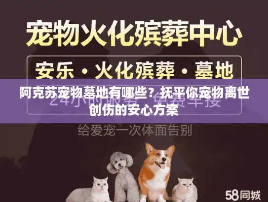 阿克苏宠物墓地有哪些?抚平你宠物离世创伤的安心方案 阿克苏宠物墓地有哪些?抚平你宠物离世创伤的安心方案