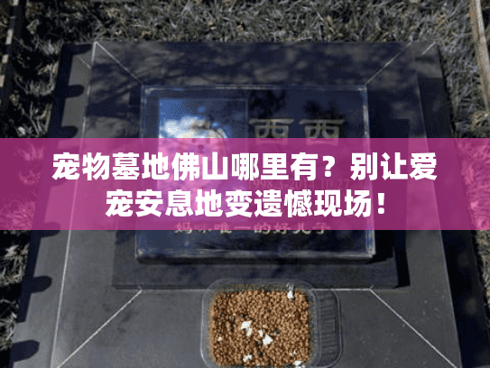 宠物墓地佛山哪里有？别让爱宠安息地变遗憾现场！