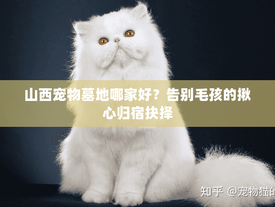 山西宠物墓地哪家好?告别毛孩的揪心归宿抉择 山西宠物墓地哪家好?告别毛孩的揪心归宿抉择