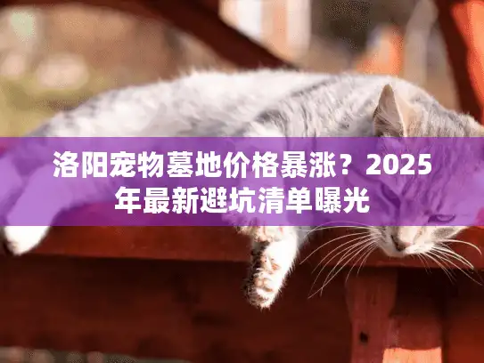 洛阳宠物墓地价格暴涨？2025年最新避坑清单曝光