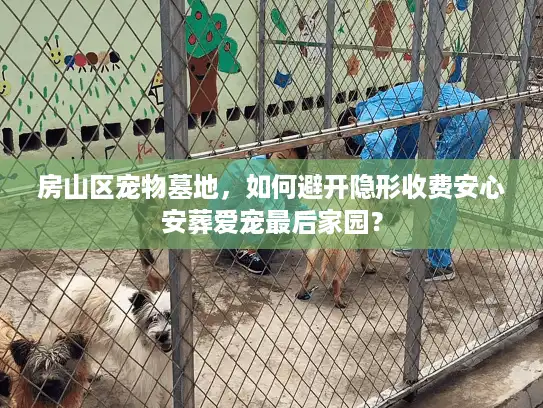 房山区宠物墓地,如何避开隐形收费安心安葬爱宠最后家园? 房山区宠物墓地,如何避开隐形收费安心安葬爱宠最后家园?