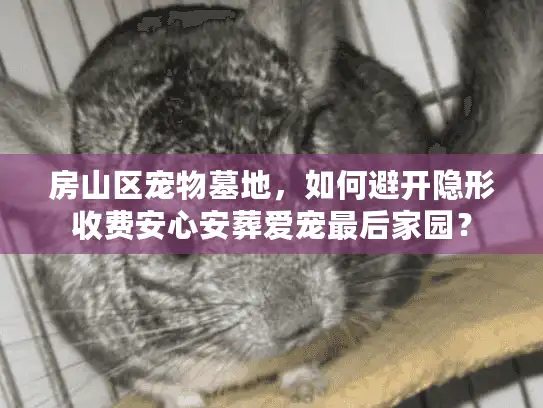 房山区宠物墓地,如何避开隐形收费安心安葬爱宠最后家园? 房山区宠物墓地,如何避开隐形收费安心安葬爱宠最后家园?