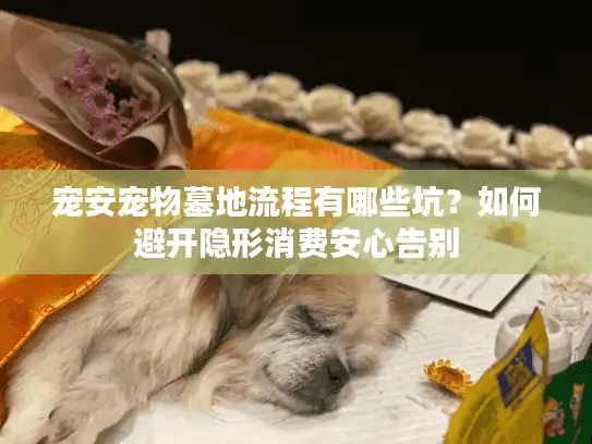 宠安宠物墓地流程有哪些坑？如何避开隐形消费安心告别