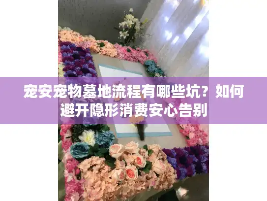 宠安宠物墓地流程有哪些坑？如何避开隐形消费安心告别