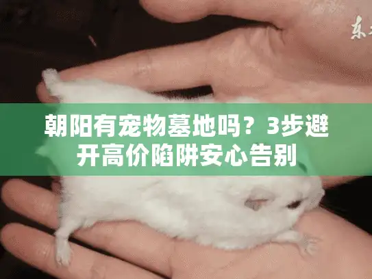 朝阳有宠物墓地吗?3步避开高价陷阱安心告别 朝阳有宠物墓地吗?3步避开高价陷阱安心告别