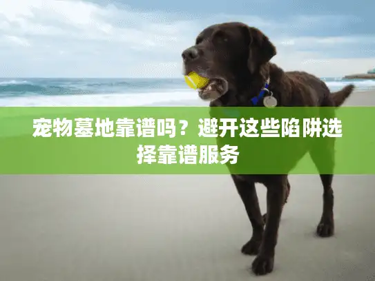 宠物墓地靠谱吗？避开这些陷阱选择靠谱服务