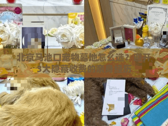 北京马池口宠物墓地怎么选？避开3大隐藏收费的亲身经历
