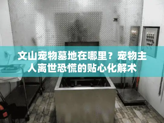 文山宠物墓地在哪里?宠物主人离世恐慌的贴心化解术 文山宠物墓地在哪里?宠物主人离世恐慌的贴心化解术