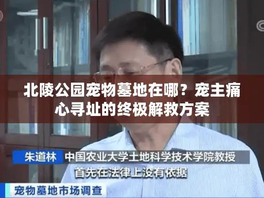 北陵公园宠物墓地在哪？宠主痛心寻址的终极解救方案