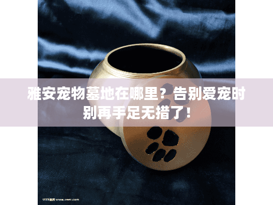 雅安宠物墓地在哪里?告别爱宠时别再手足无措了! 雅安宠物墓地在哪里?告别爱宠时别再手足无措了!