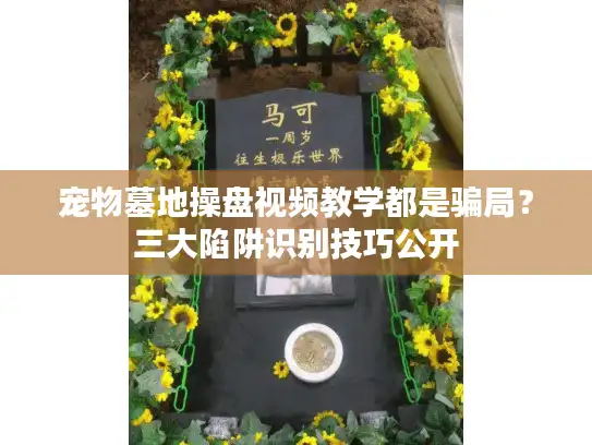 宠物墓地操盘视频教学都是骗局？三大陷阱识别技巧公开