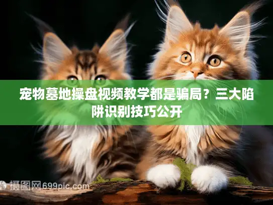 宠物墓地操盘视频教学都是骗局？三大陷阱识别技巧公开