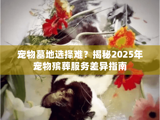 宠物墓地选择难？揭秘2025年宠物殡葬服务差异指南