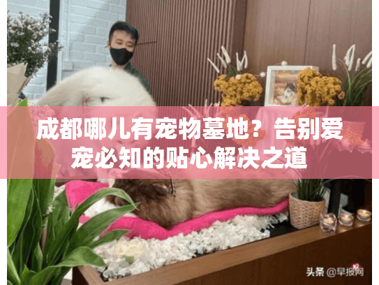 成都哪儿有宠物墓地？告别爱宠必知的贴心解决之道