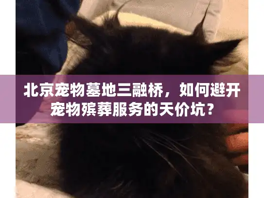 北京宠物墓地三融桥，如何避开宠物殡葬服务的天价坑？