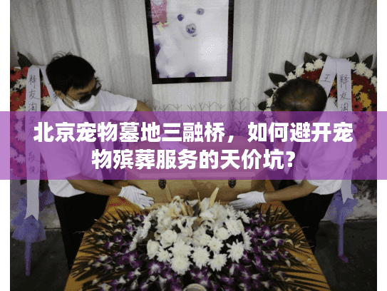 北京宠物墓地三融桥，如何避开宠物殡葬服务的天价坑？