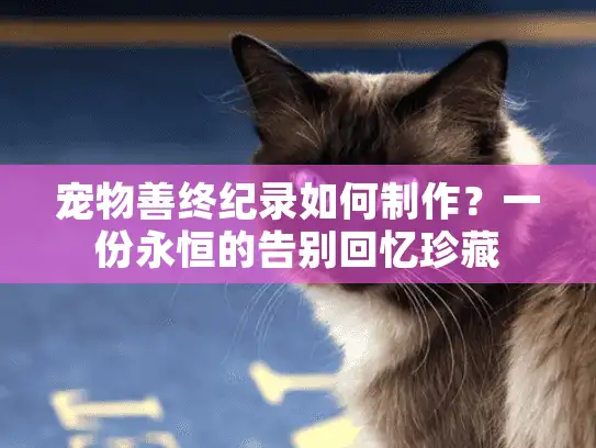 宠物善终纪录如何制作？一份永恒的告别回忆珍藏