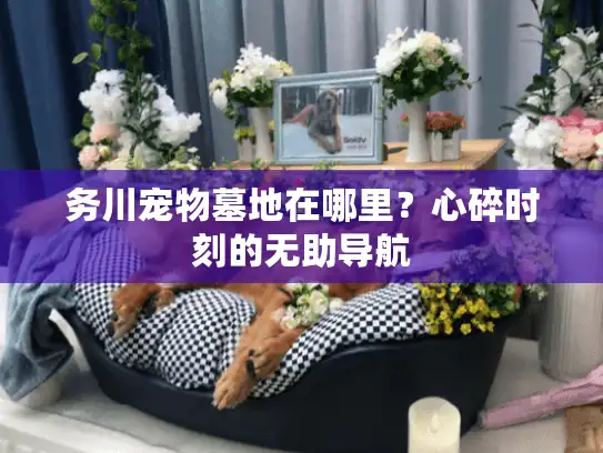 务川宠物墓地在哪里？心碎时刻的无助导航