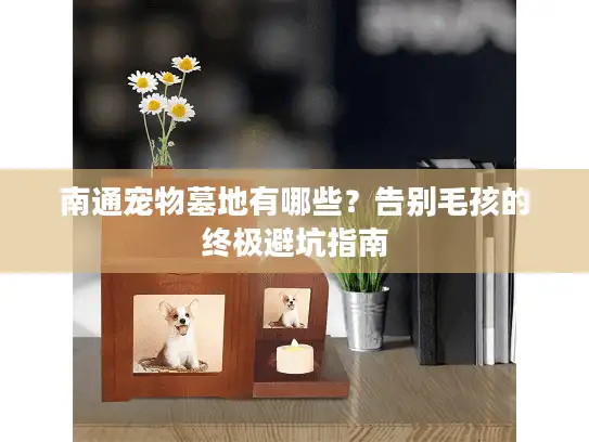 南通宠物墓地有哪些？告别毛孩的终极避坑指南