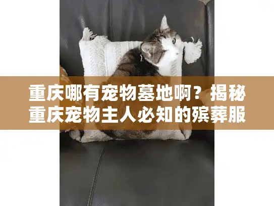 重庆哪有宠物墓地啊？揭秘重庆宠物主人必知的殡葬服务避坑技巧